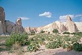 Cappadocia, the Rose valley